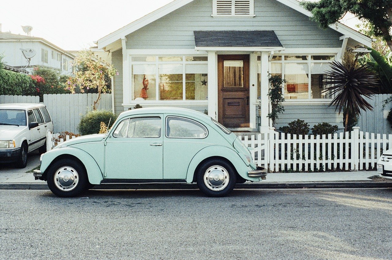 Home and a beetle